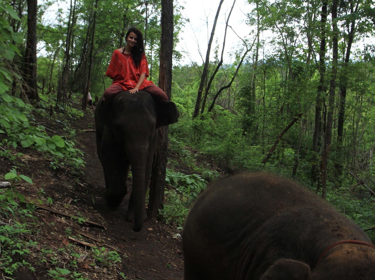 IMG_0436.jpg IMG_0436.jpg