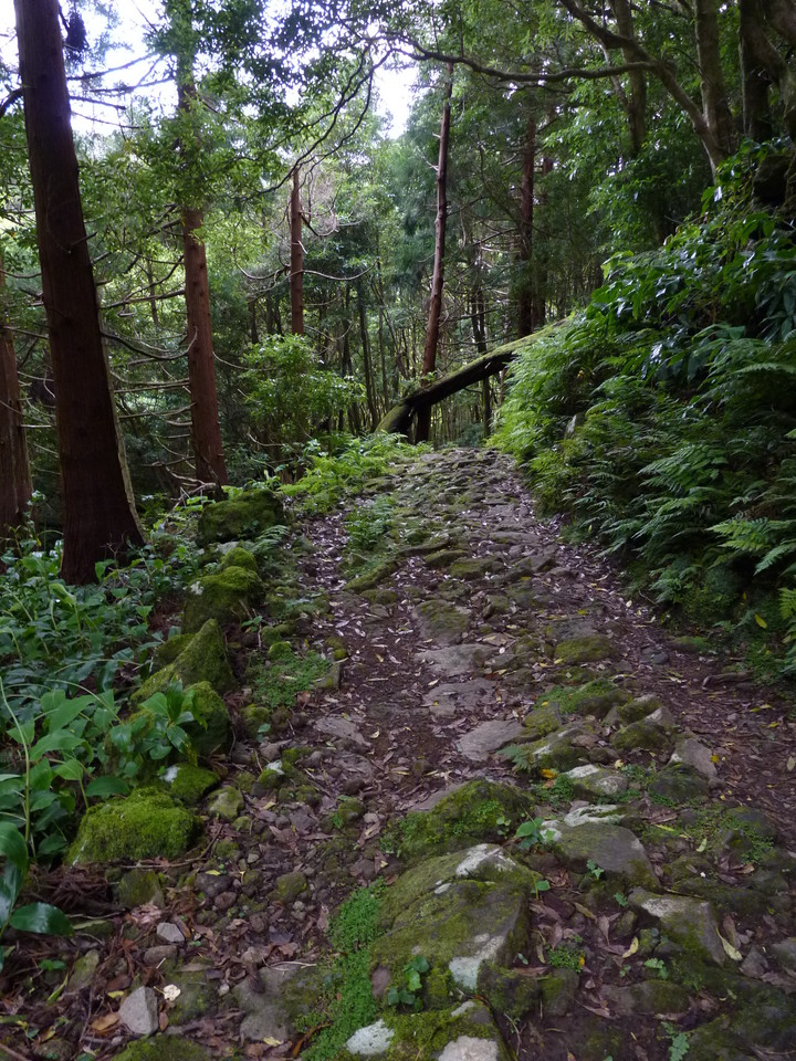 Percurso até ao Poço da Ribeira do Ferreiro - Il