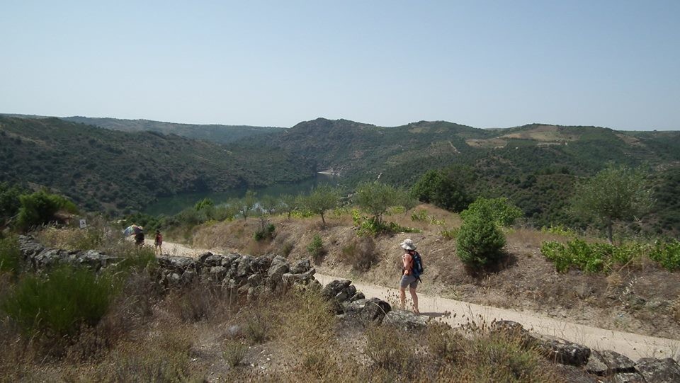 38600583_2271808949527872_5015377553720868864_n.jp