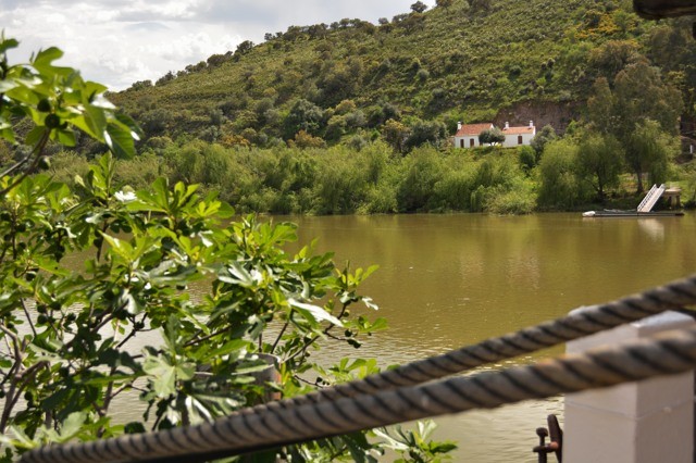 DSC_1379.jpg DSC_1379.jpg