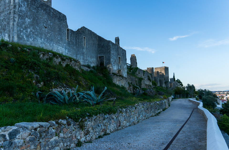 DSC01450.jpg DSC01450.jpg