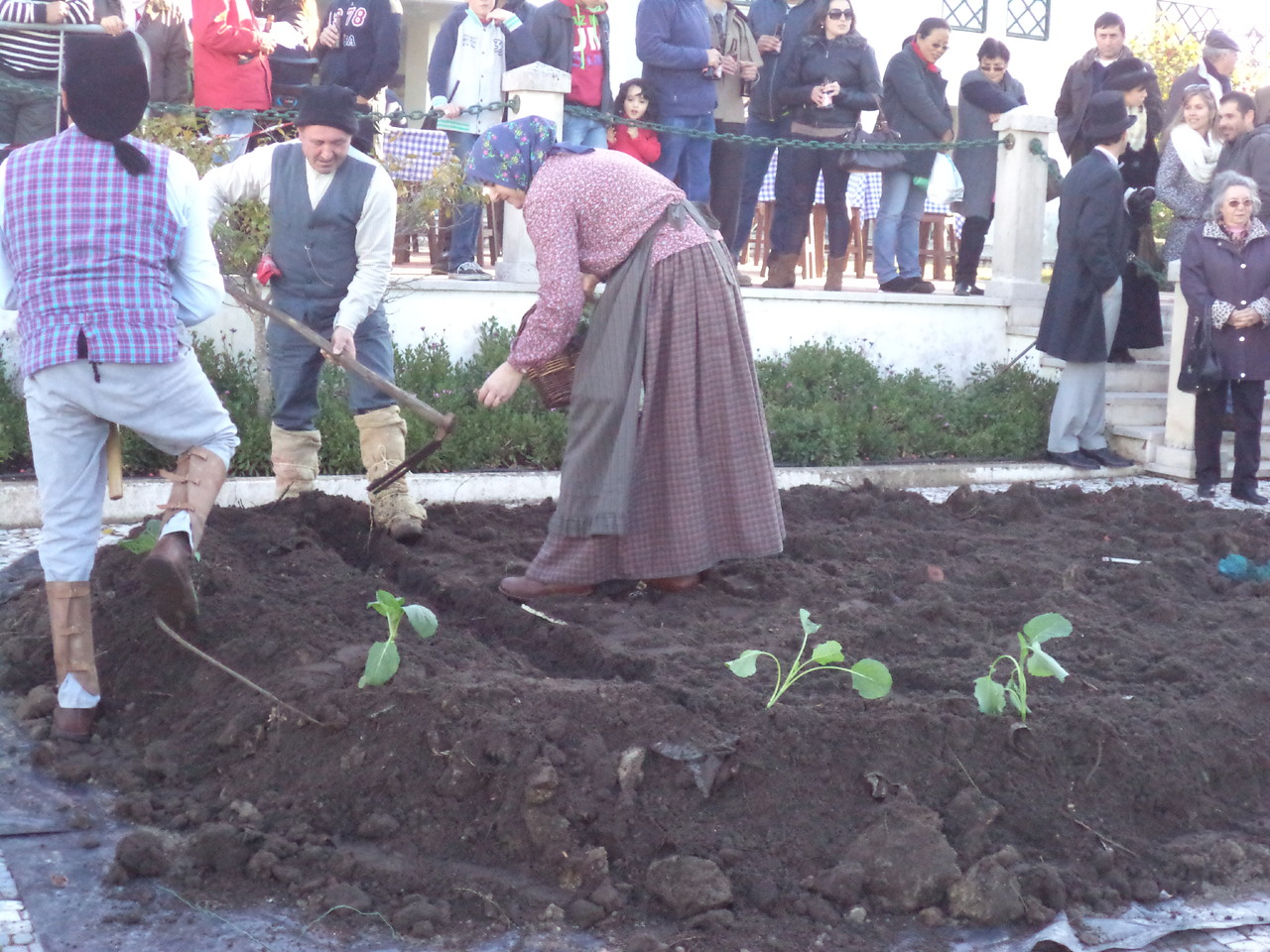 DSC03690.JPG DSC03690.JPG