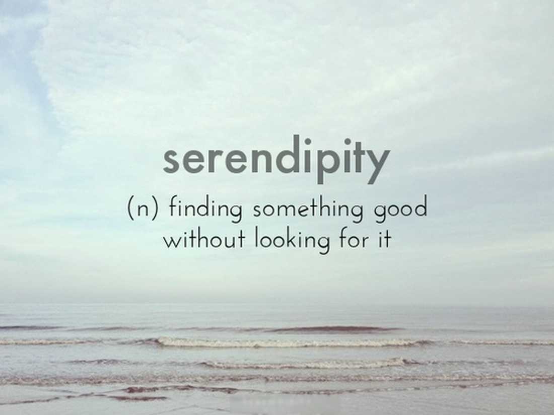serendipity.jpg serendipity.jpg