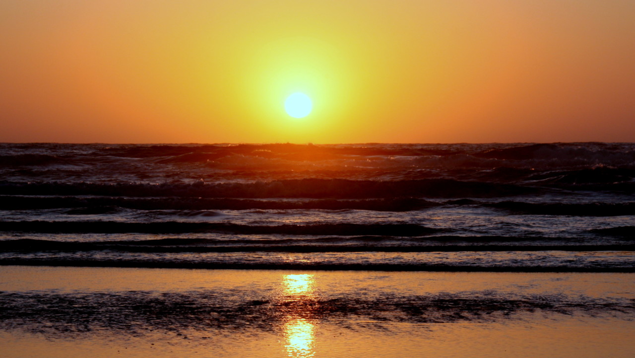 IMG_0133.JPG IMG_0133.JPG