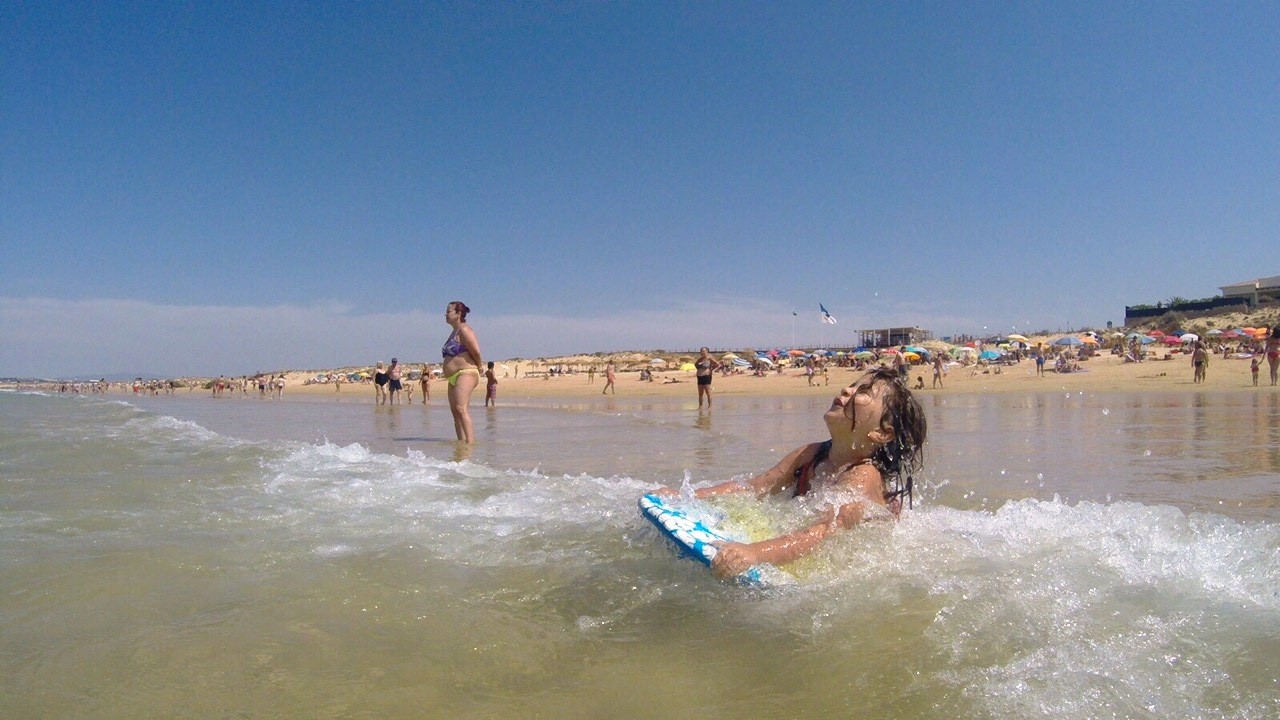 IMG_8370.JPG IMG_8370.JPG