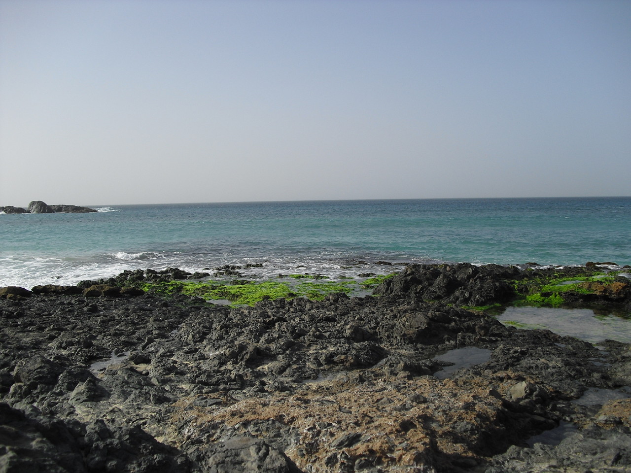 CIMG0502.JPG CIMG0502.JPG