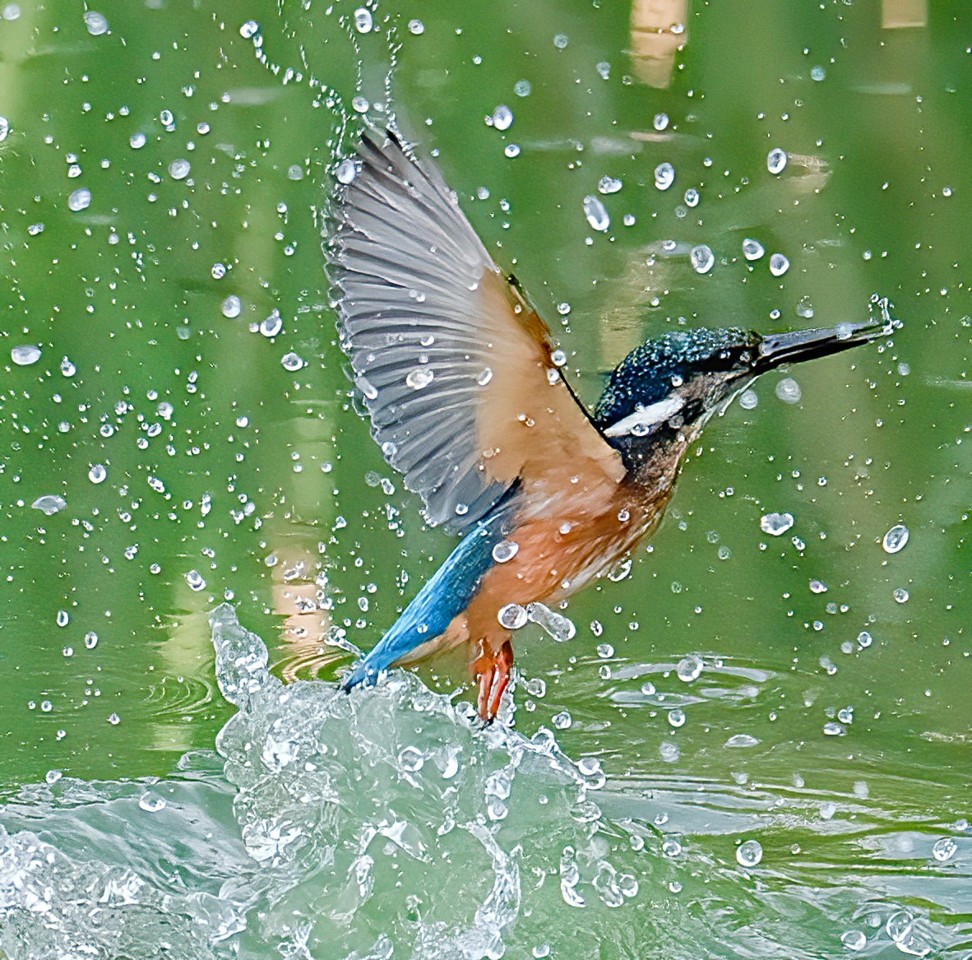 5-Guarda Rios.jpg 5-Guarda Rios.jpg