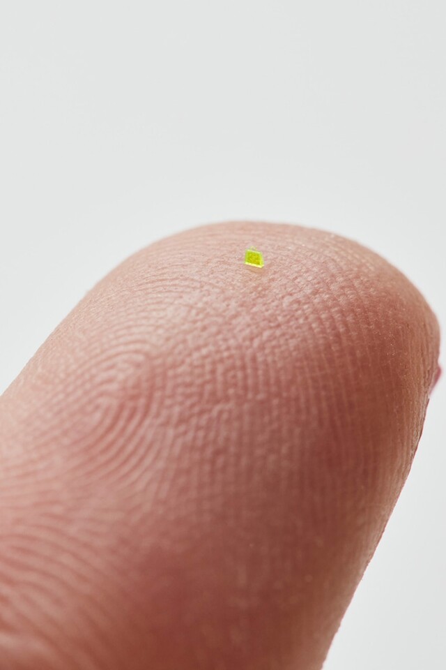 https___hypebeast.com_image_2023_06_mschf-microsco