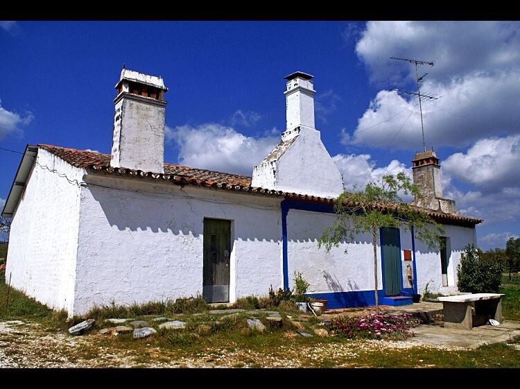 191569340_4000639786690557_7742730912521918004_n.j