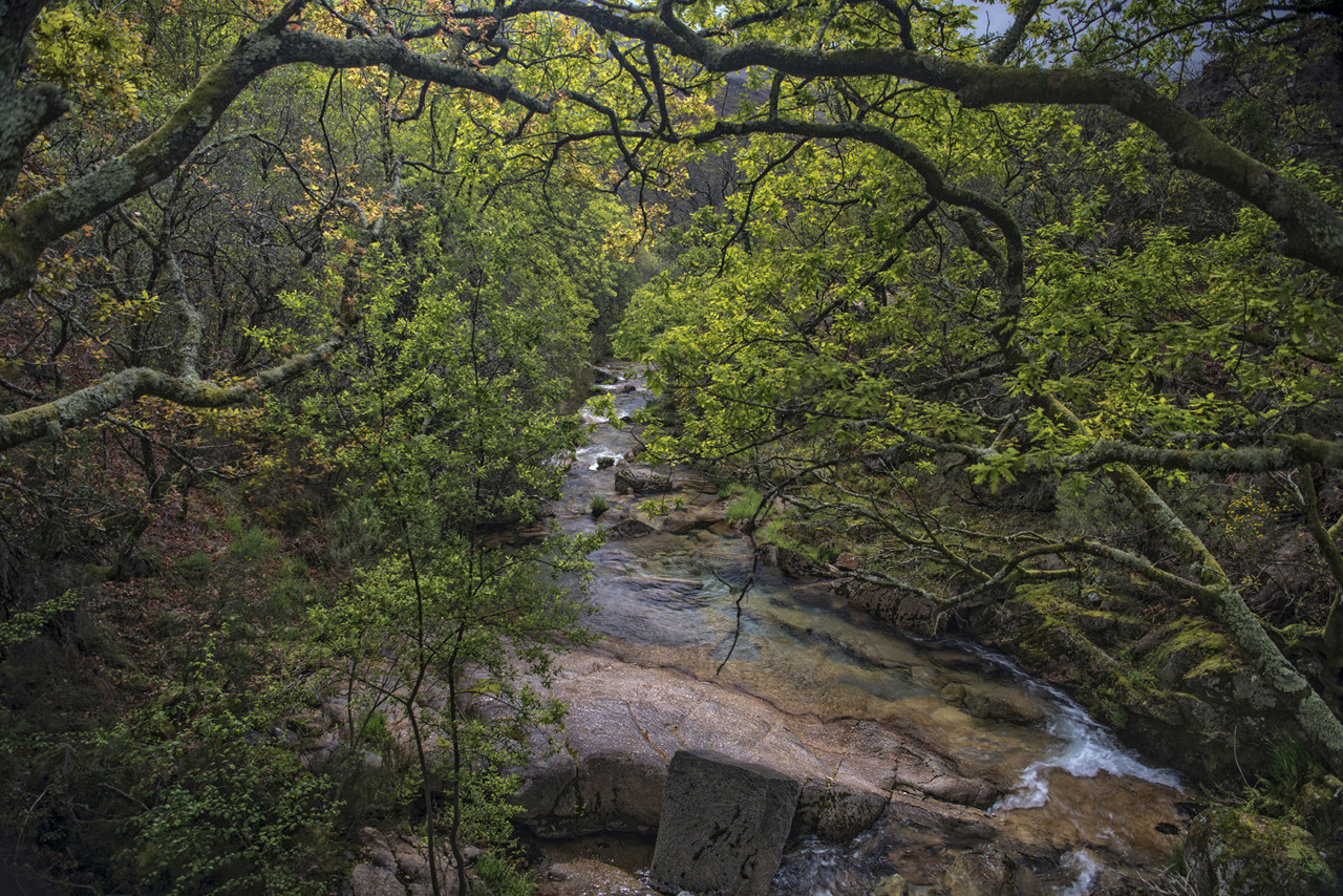 _JMF1453 - cópia 2.jpg