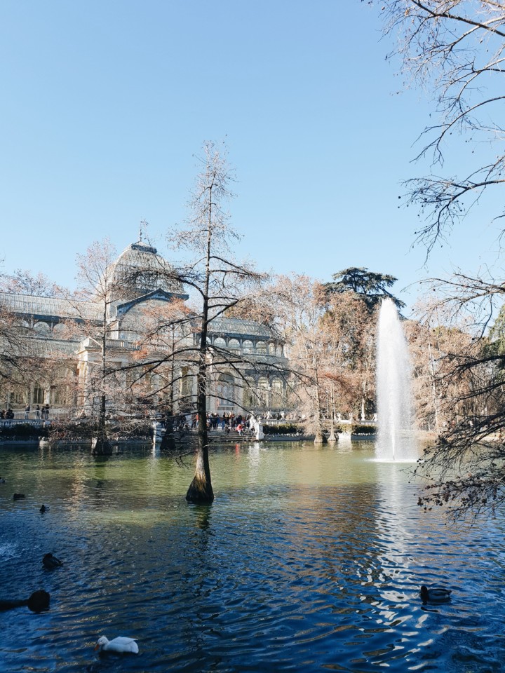 2019-01-06 12.04.51 1.jpg