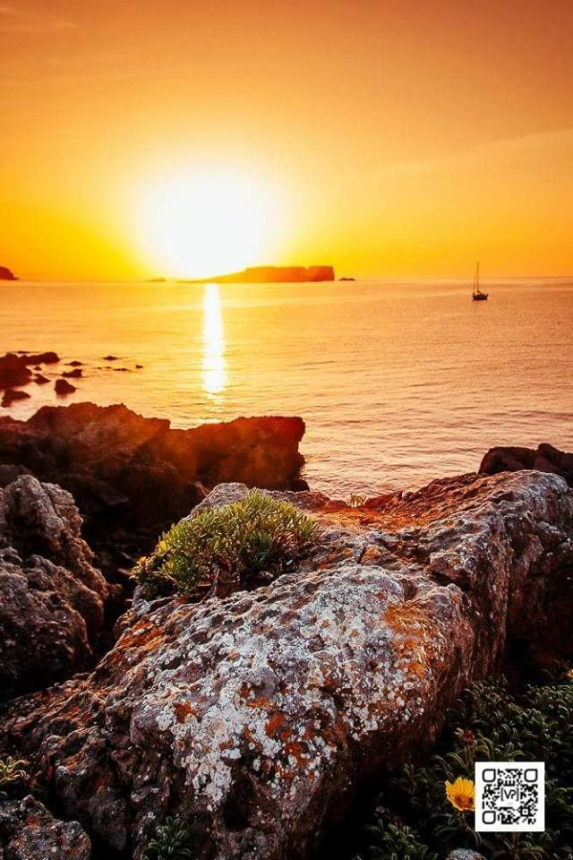 25395895_820532264785835_4591134654152414156_n.jpg 25395895_820532264785835_4591134654152414156_n.jpg