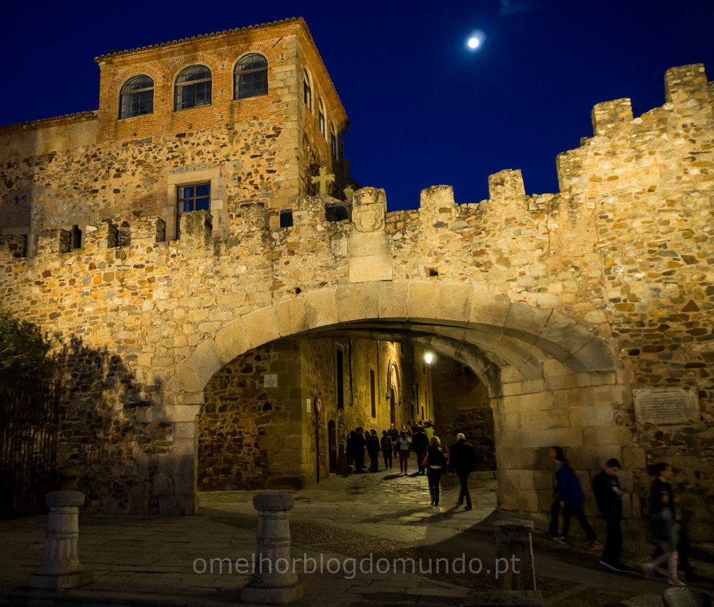 P4270116.jpg P4270116.jpg