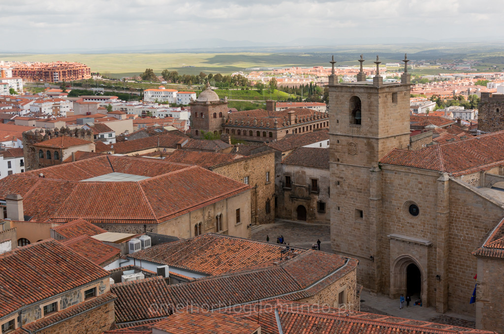 _DSC6260.jpg _DSC6260.jpg