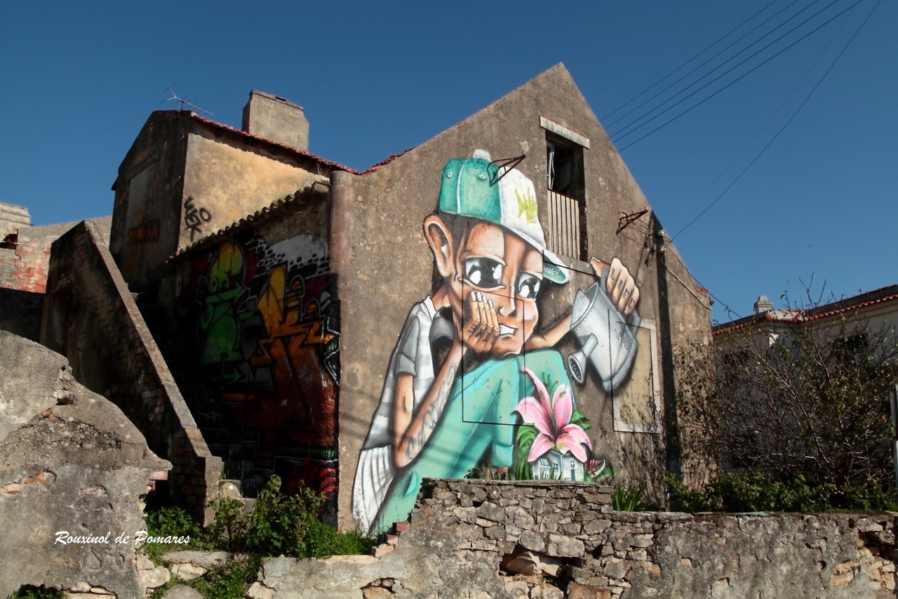 Street Art em Agualva Cacem (001)