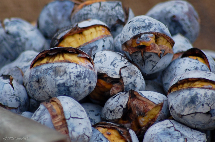 castanhas assadas.jpg