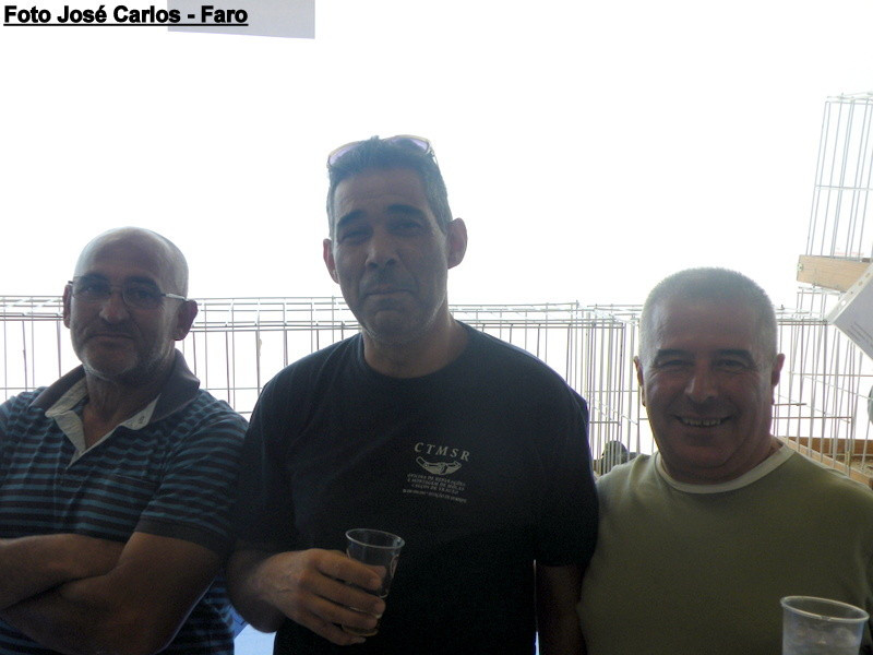 Leilão Serpa 2017 056.JPG