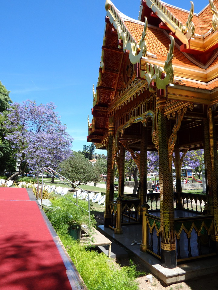 P5201283.JPG P5201283.JPG