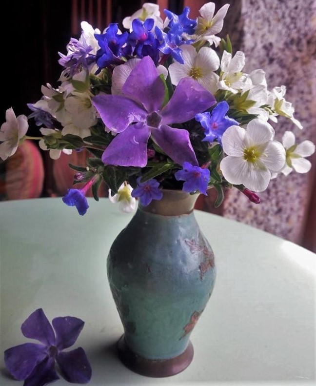 31841729_1669977856421192_1259958175591825408_n.jp