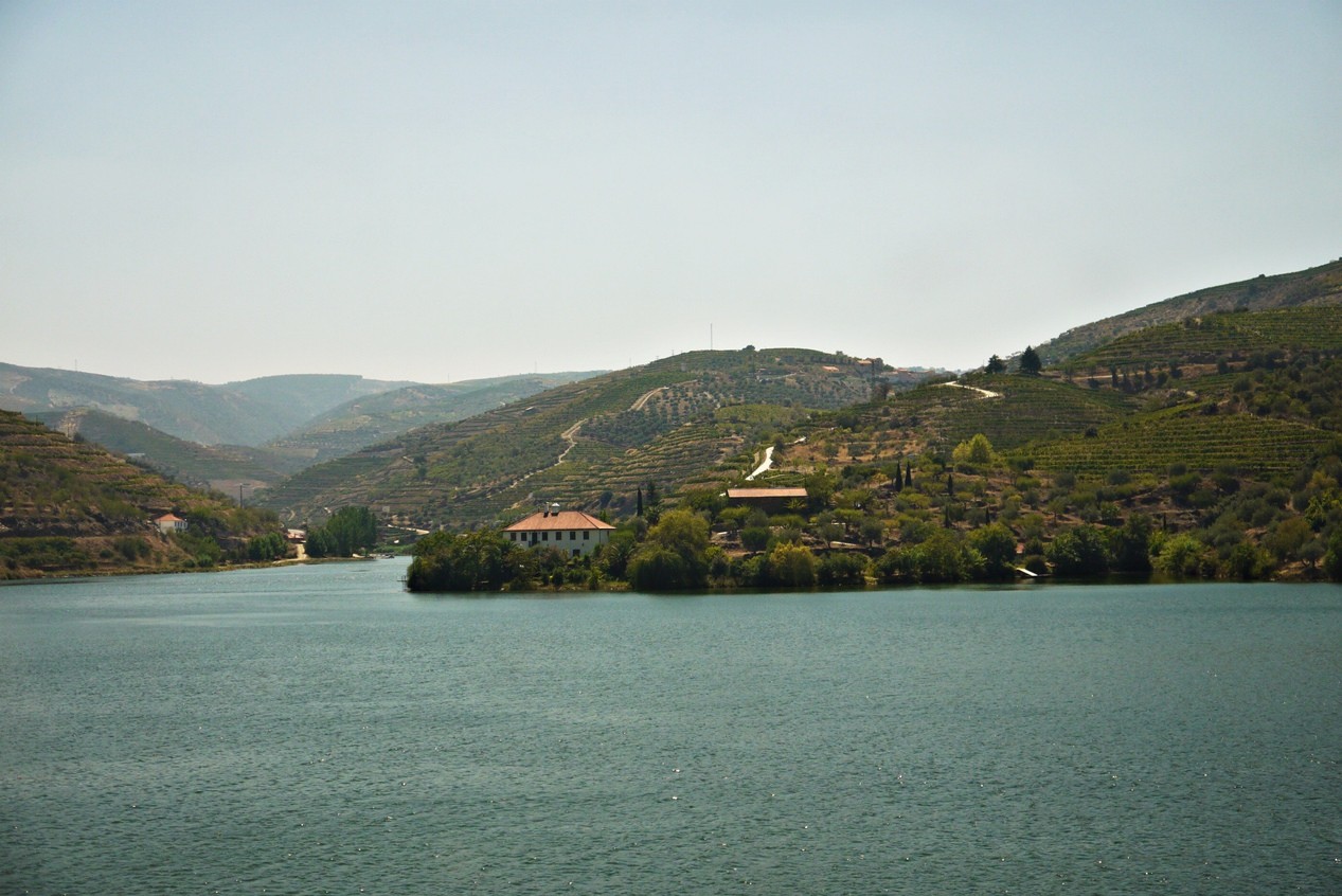 Linha do Douro6.JPG Linha do Douro6.JPG