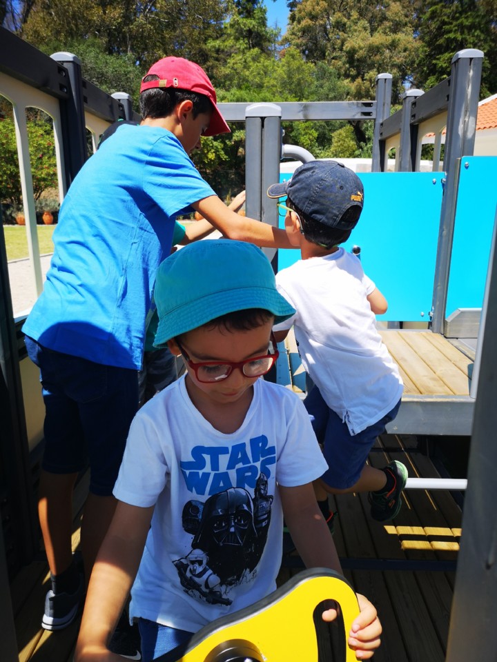 IMG_20190728_122656.jpg IMG_20190728_122656.jpg