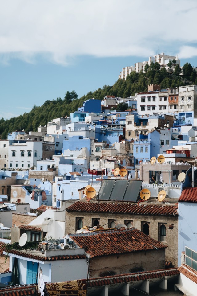 3E673D9D-9DED-4473-9BE9-3DF87D52300E.jpg 3E673D9D-9DED-4473-9BE9-3DF87D52300E.jpg