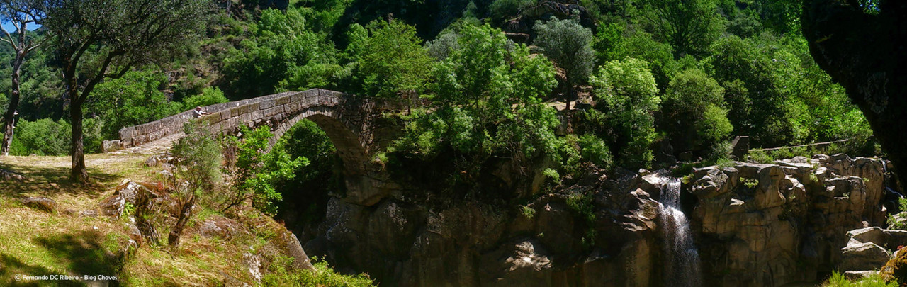 1600-misarela (160).jpg