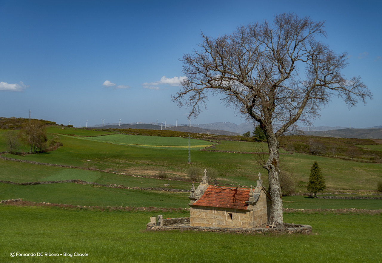 1600-coimbro (191).jpg