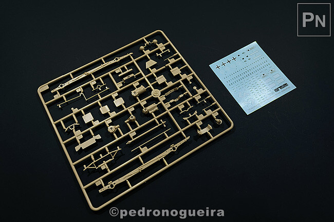 Jun_2022_007 650px.jpg