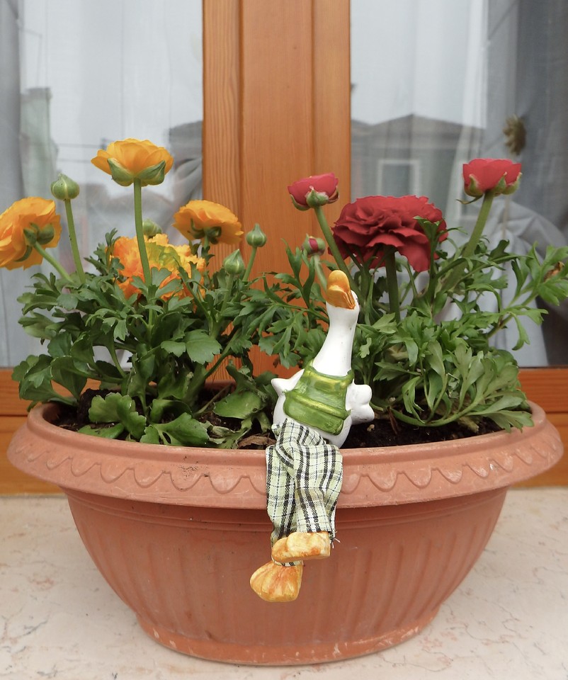 fullsizeoutput_125b.jpeg fullsizeoutput_125b.jpeg