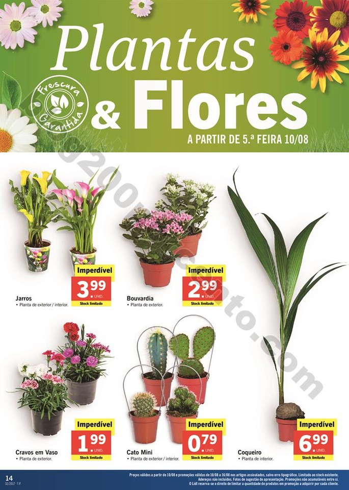 Promo_es_v_lidas_a_partir_de_10_08_2017_Mais_para_