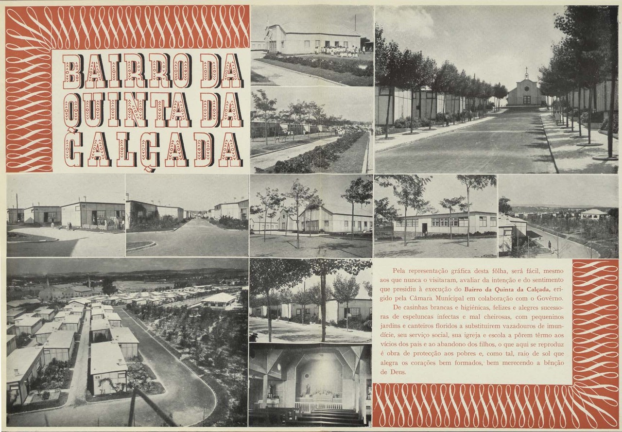 N5_0064_branca_t0.jpg N5_0064_branca_t0.jpg