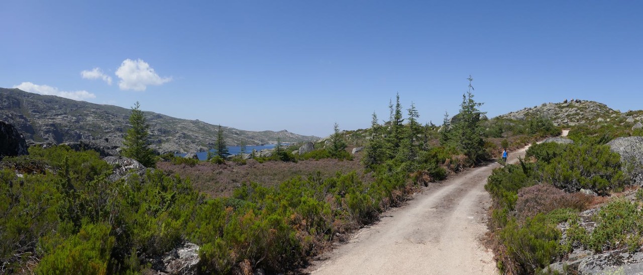 IMG_4455.JPG IMG_4455.JPG