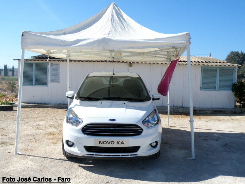 Derby Faro 2017 035.JPG