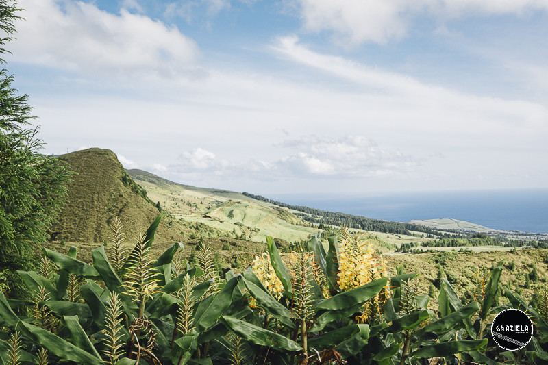 Acores_Sao_Miguel_Graziela_Costa-9687.jpg
