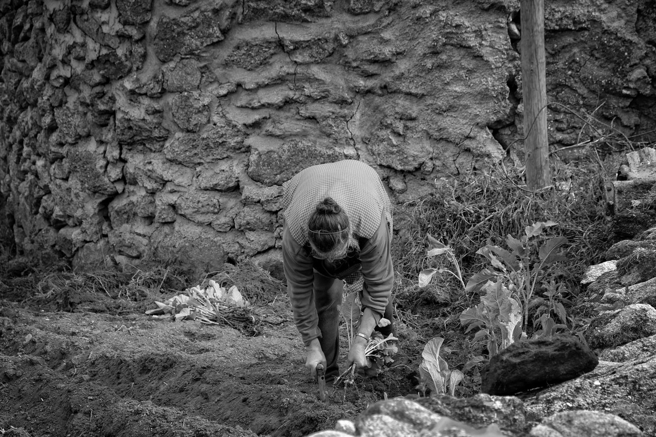 Barroso - Penedones, ETC, XT1 215 - cópia copy.j