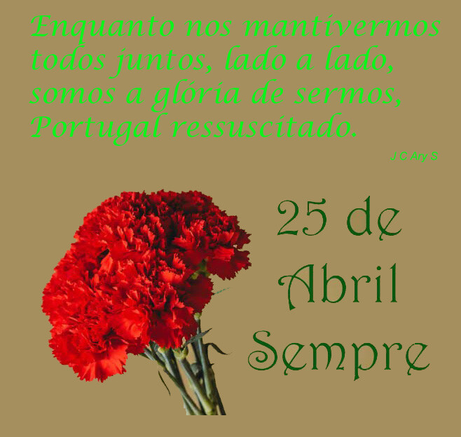 50 de 25 cópia.jpg