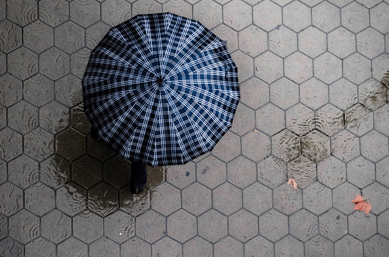 feliz dia, alegria..