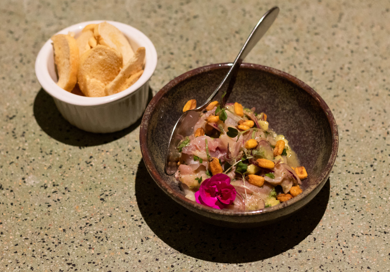 claudia-goncalves-ganhao-6714.JPG claudia-goncalves-ganhao-6714.JPG