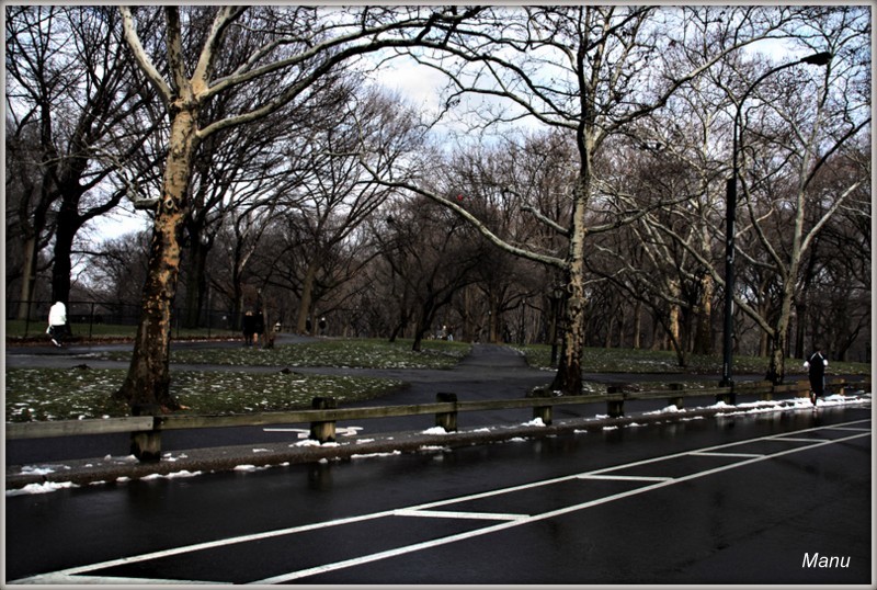 IMG_4188 nova iorque.jpg