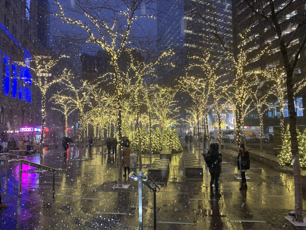 IMG_7412.jpg IMG_7412.jpg