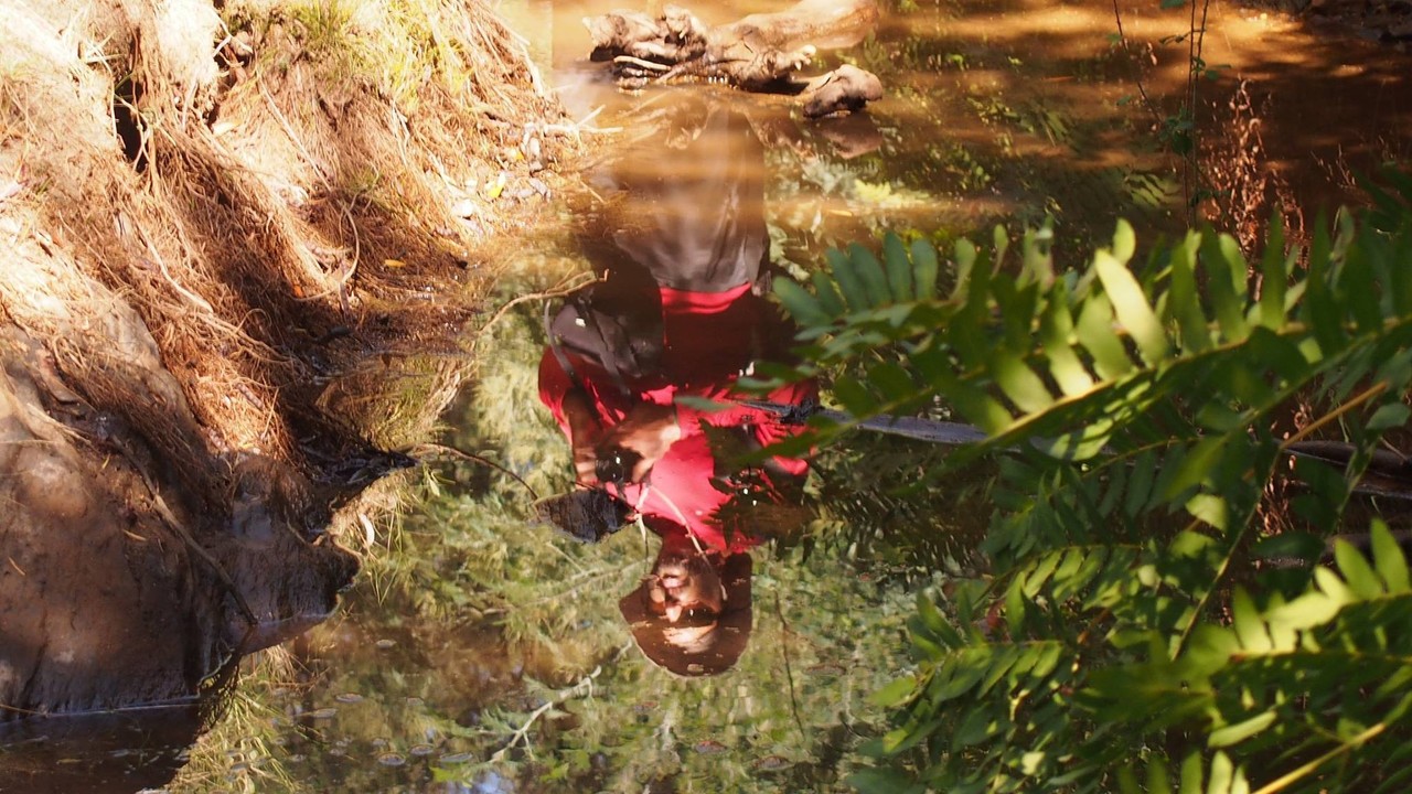 21743705_1799091473437604_1174254456055361332_o.jp