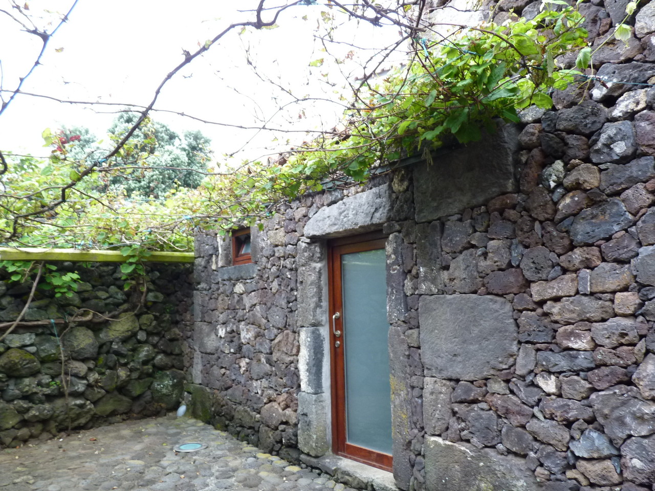 Centro Interpretativo.JPG