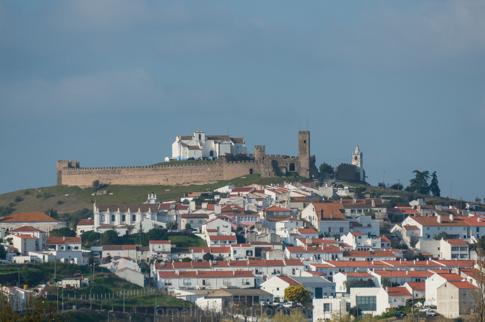 DSC08213.jpg DSC08213.jpg