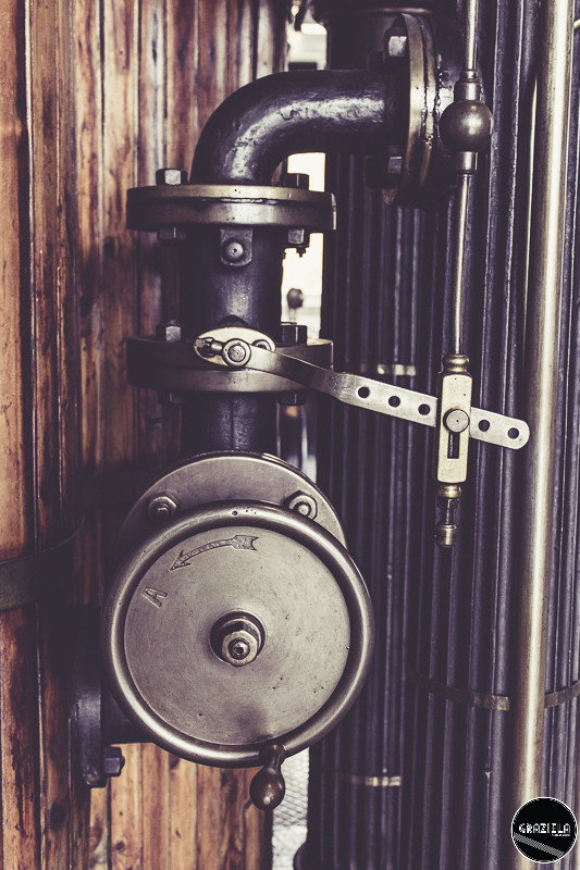 Museus_Graziela_Costa_Pequenas-0064.JPG Museus_Graziela_Costa_Pequenas-0064.JPG