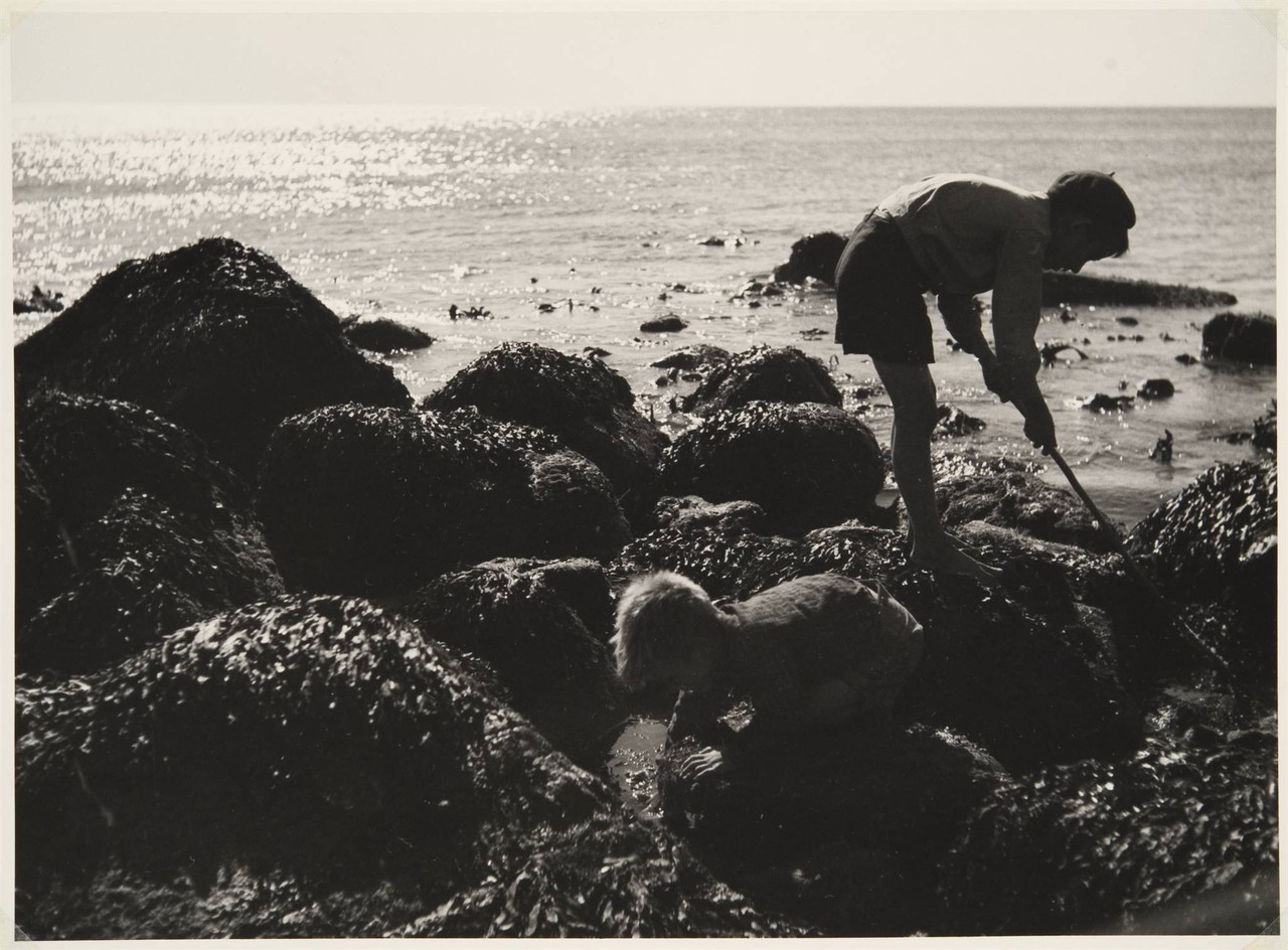 Na faina da minhoca, Sesimbra (A. Pastor, 1943-45)