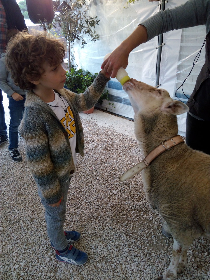 IMG_20161016_155656.jpg IMG_20161016_155656.jpg