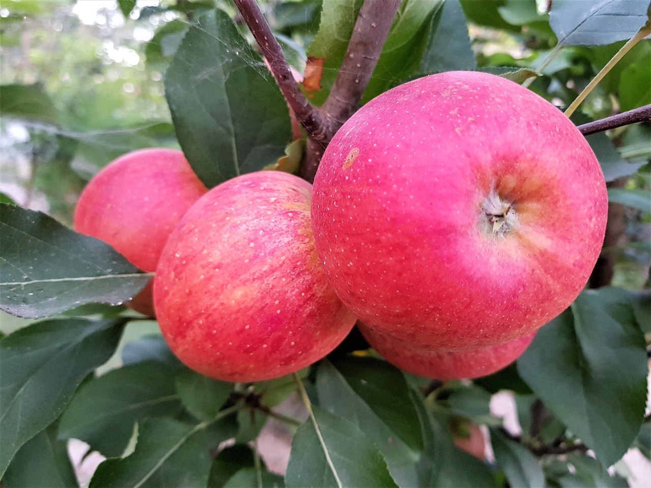 20170810_202023 (2).jpg