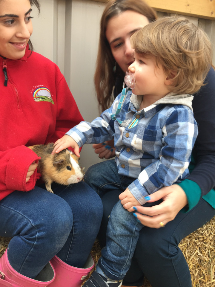 20170326_122840355_ios (1).jpg 20170326_122840355_ios (1).jpg