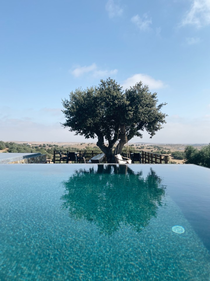 923DD373-3688-4AC3-B745-6F7AD2FEAC88-DAE31CDA-12E9